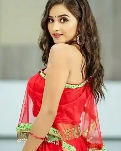Call Girls Service Narsapur